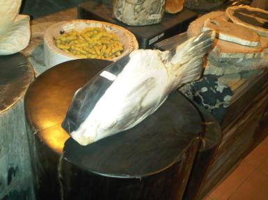 Pretrified wood 001N Pretrified wood 001N