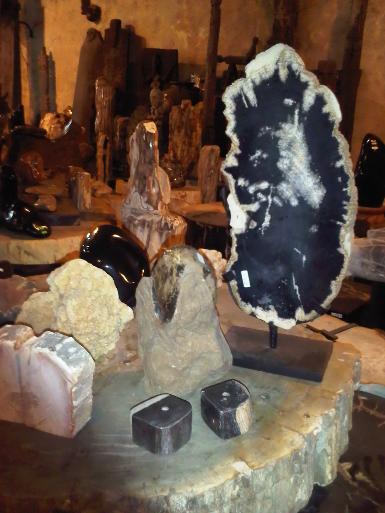 Pretrified wood 001H Pretrified wood 001H