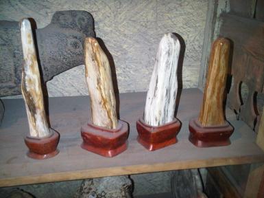 Pretrified wood 001A Pretrified wood 001A