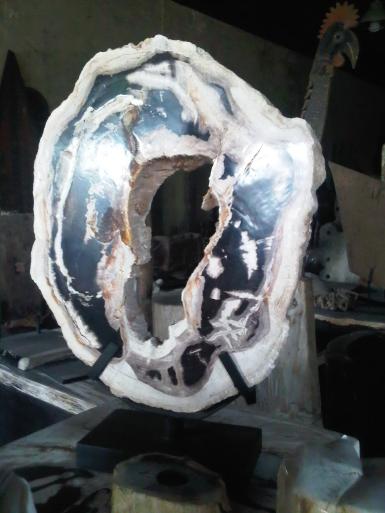 Pretrified wood 001E Pretrified wood 001E