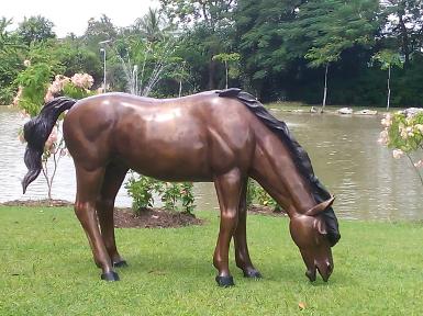 Brass Sculpture horse Item code STB05 size Brass Sculpture horse Item code STB05 size
