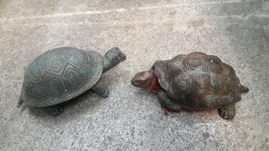 Turtle brass hook Item Code TTB01 size long 16 cm. Turtle brass hook Item Code TTB01 size long 16 cm.