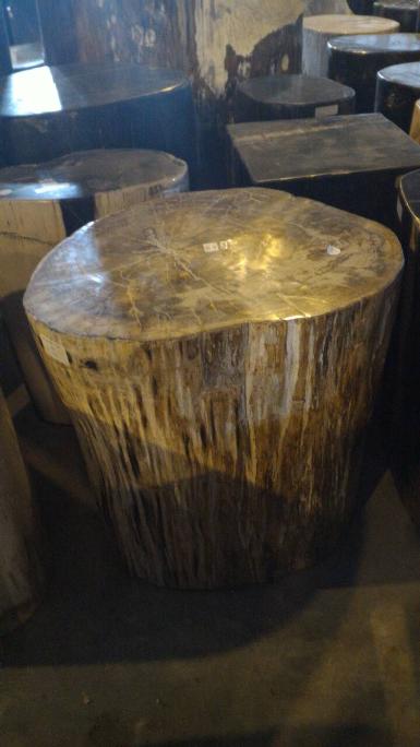 Pretrified wood Item Code PTW001E size weight 115 kg. Pretrified wood Item Code PTW001E size weight 115 kg.