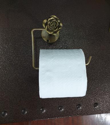 Toilet Hook Item Code TP063R Toilet Hook Item Code TP063R