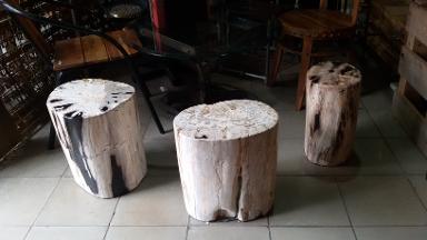 Pretrified wood Item Code PT08MP Pretrified wood Item Code PT08MP