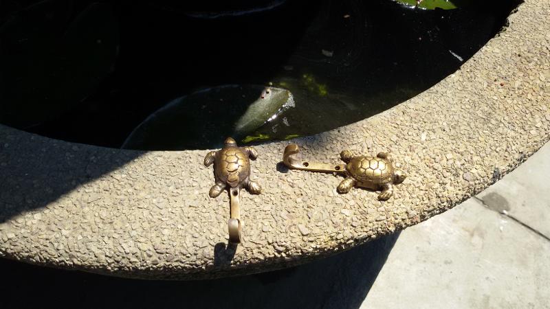 ขยายภาพ+